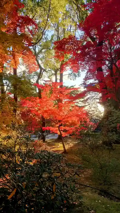 仁和寺(京都府)