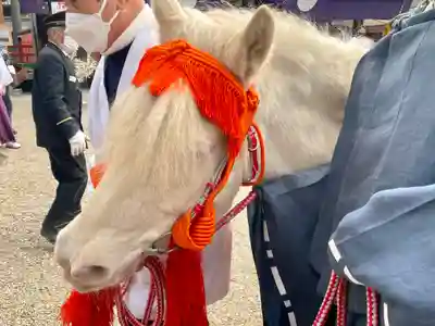 住吉大社(大阪府)