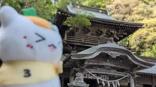 飛龍八幡宮の建物その他