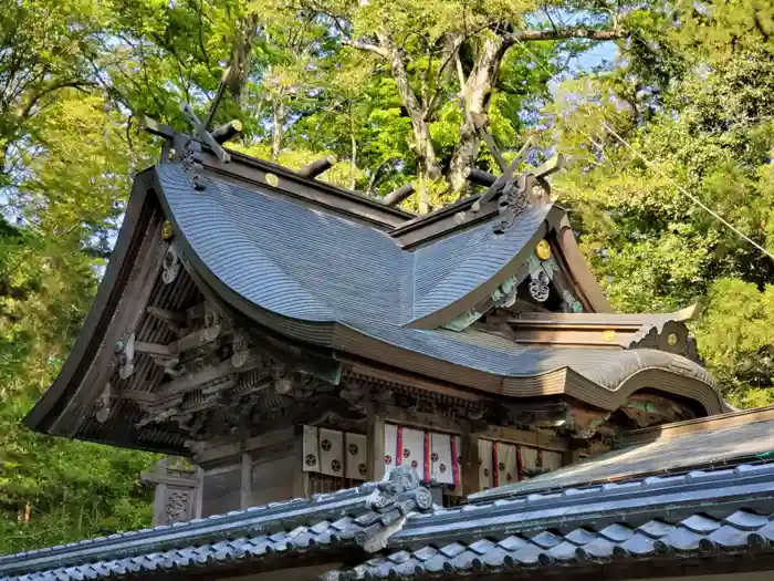 兵主神社の本殿