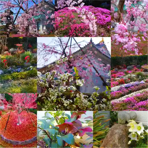 寿量山　速成寺(奈良県)