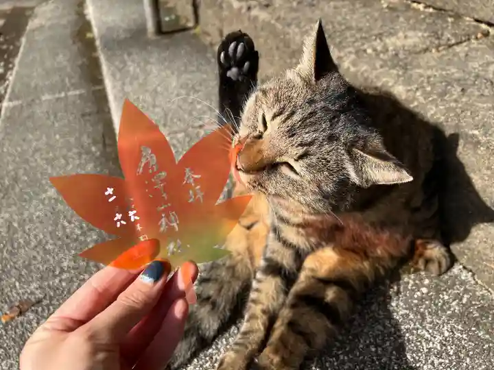 唐澤山神社(栃木県)