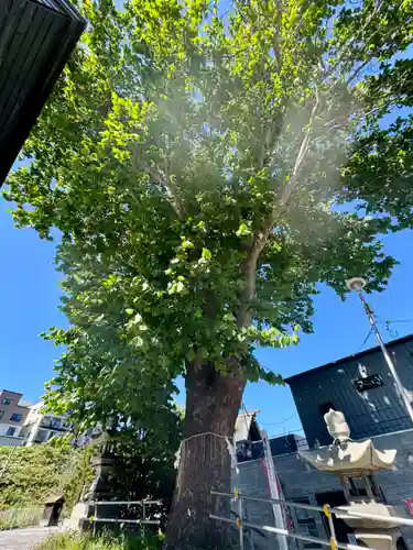 龍宮神社(北海道)