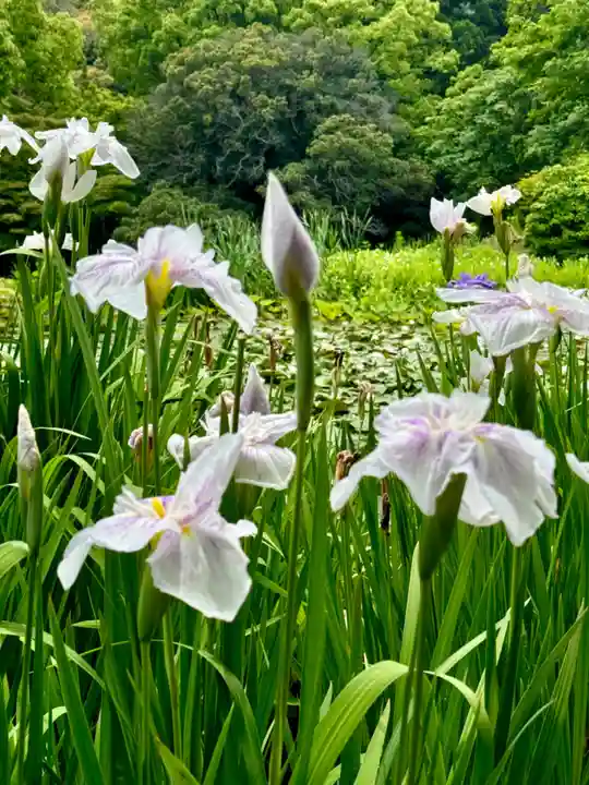 勧修寺(京都府)