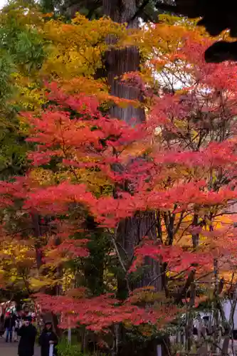 大矢田神社(岐阜県)