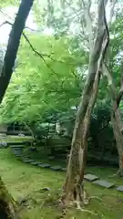 宗鏡寺の庭園