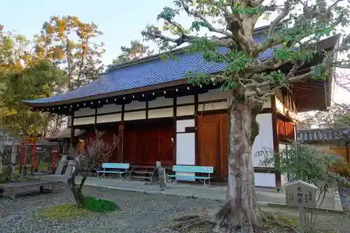 梅宮大社の本殿・本堂