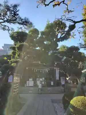 鳩森八幡神社のその他建物