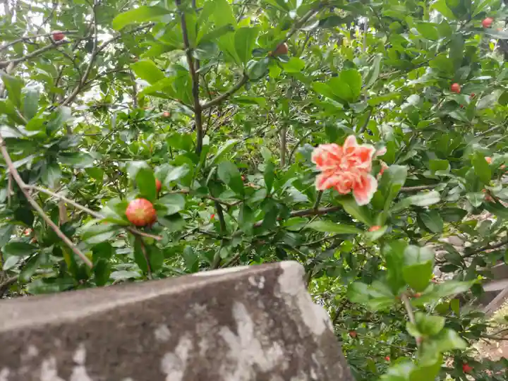 賀茂別雷神社(栃木県)