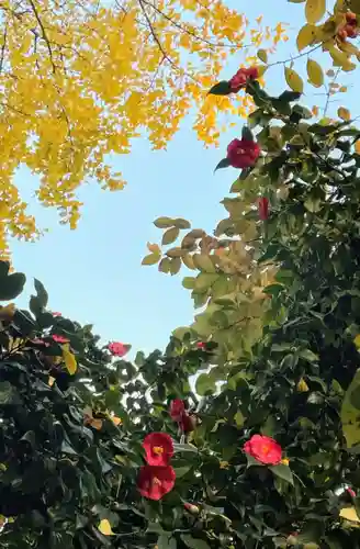 鳥越神社の自然