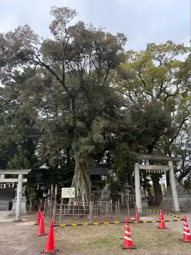 本刈谷神社(愛知県)