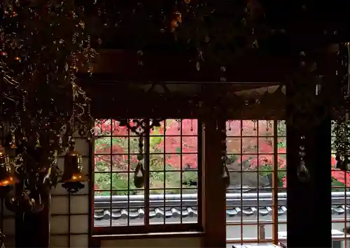 来迎寺(井戸来迎寺・紫雲山来迎寺)の本殿・本堂