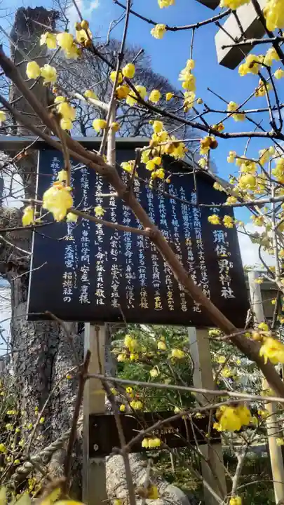 水堂須佐男神社(兵庫県)