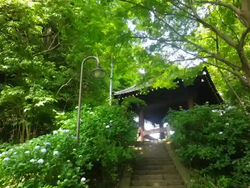 妙本寺の庭園