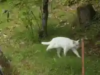 黄梅院(岐阜県)