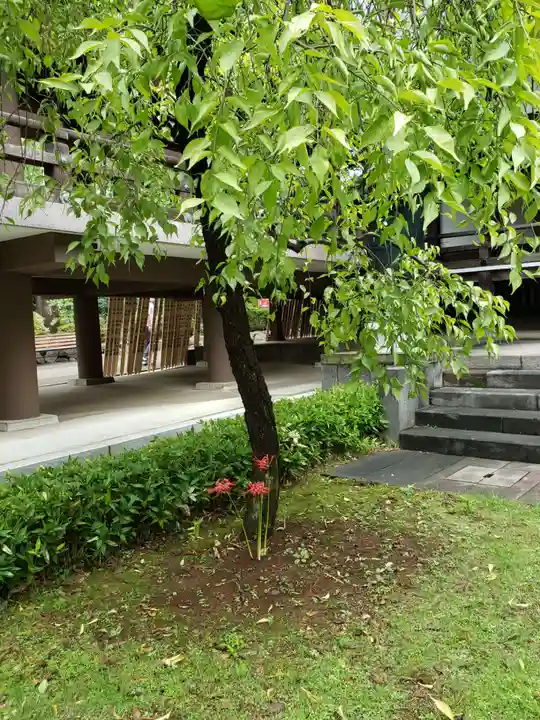 妙法寺(東京都)