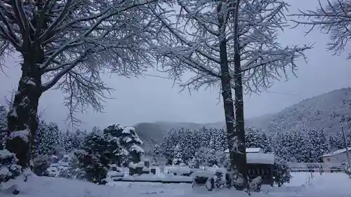 壽徳寺 じゅとくじの自然