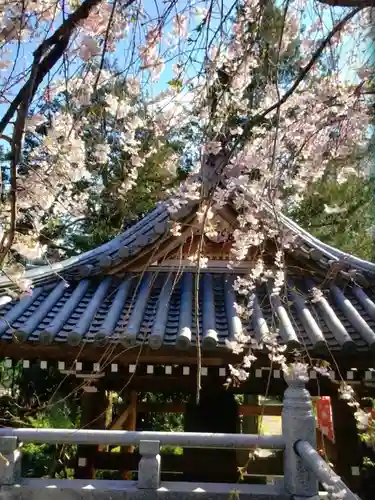 玄国寺(東京都)