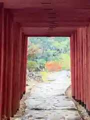 祐徳稲荷神社の鳥居