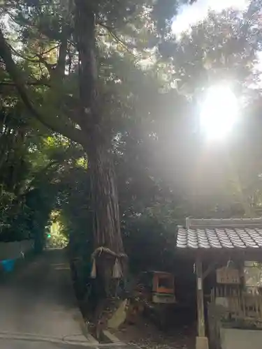 科長神社(大阪府)