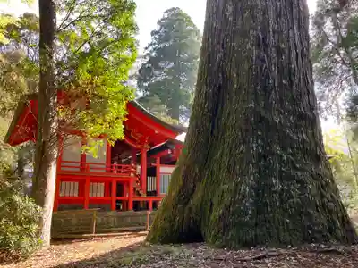 十根川神社の本殿・本堂