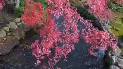 賀茂別雷神社（上賀茂神社）の庭園