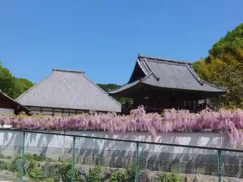 長泉寺の景色