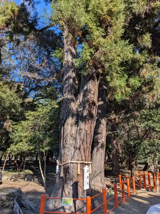息栖神社(茨城県)