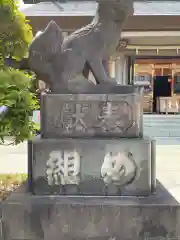 芝大神宮の狛犬