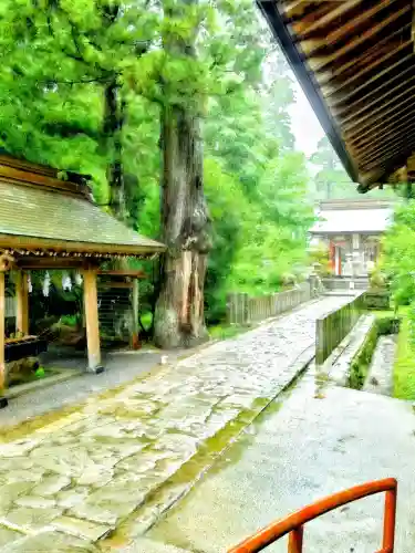 宇奈岐日女神社(大分県)