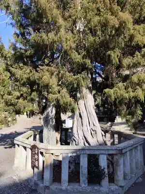 道成寺(和歌山県)