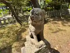 天橋立神社の狛犬