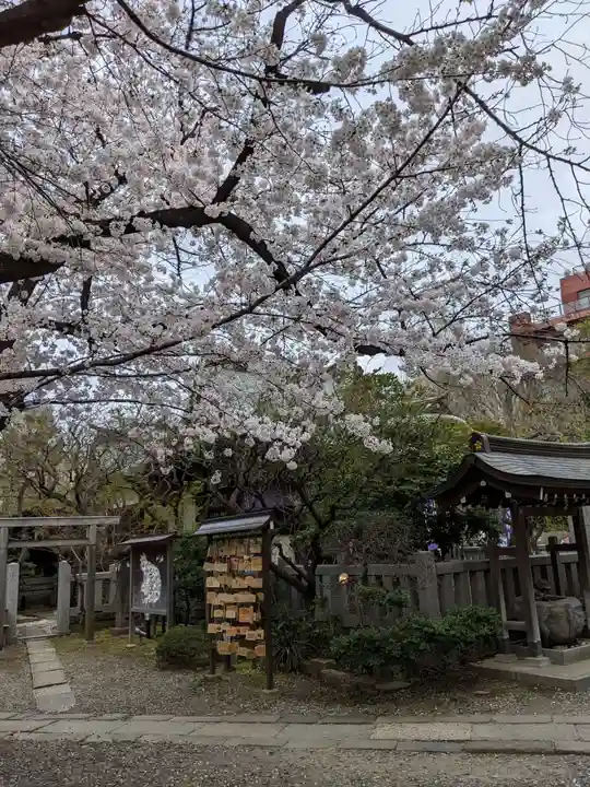 牛天神北野神社の自然