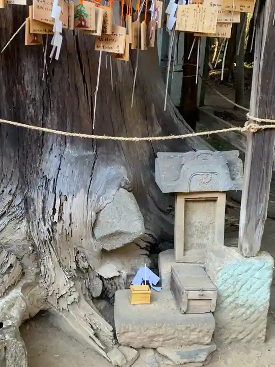 胎安神社(茨城県)