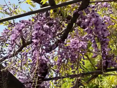 山王稲荷神社（日枝神社末社）(東京都)