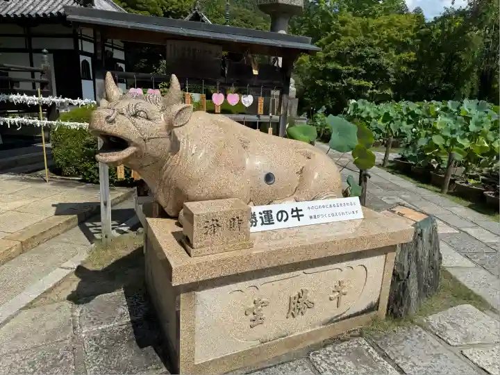 三室戸寺(京都府)