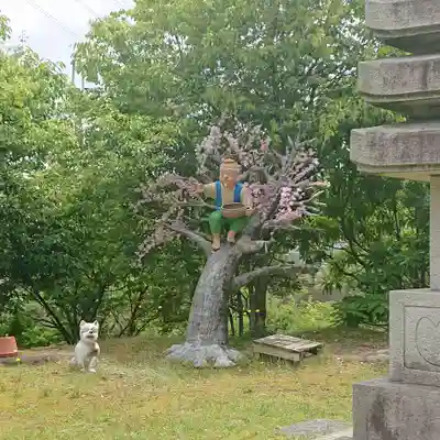 龍眼寺(大阪府)