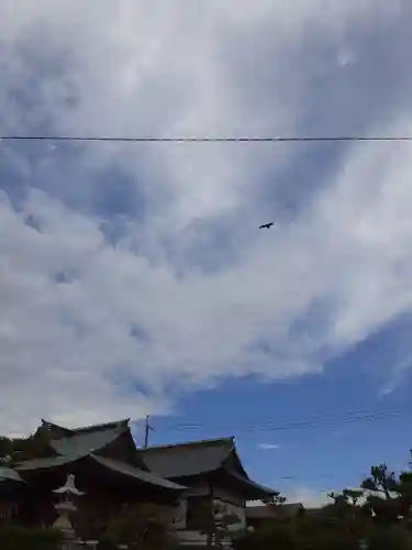 住吉神社の動物