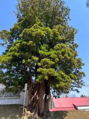 岩木山神社(青森県)