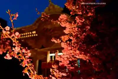 桜神宮のその他建物