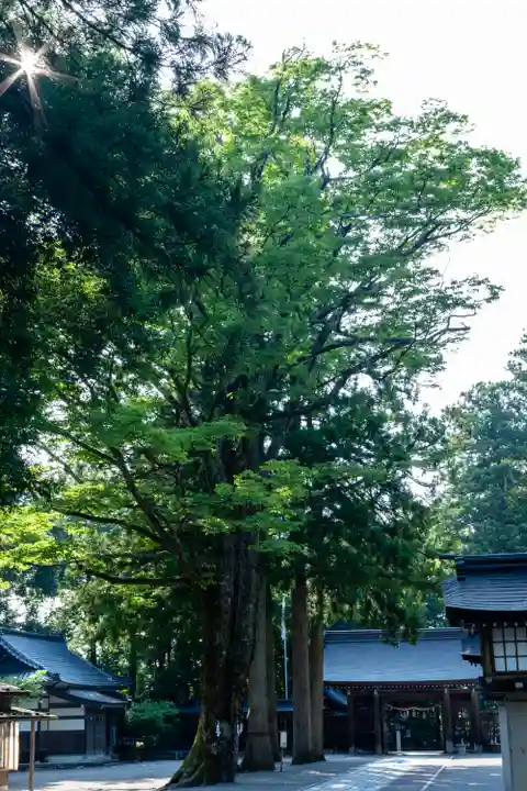 雄山神社前立社壇(富山県)