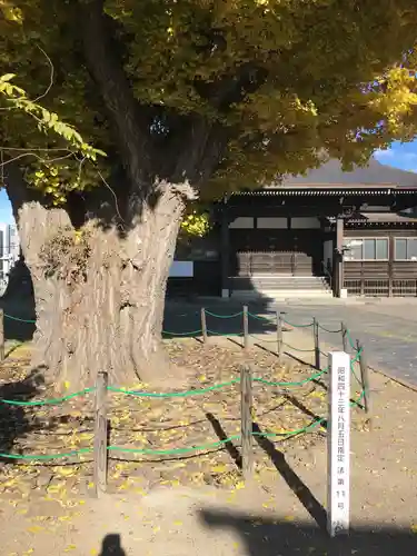 法国寺の自然