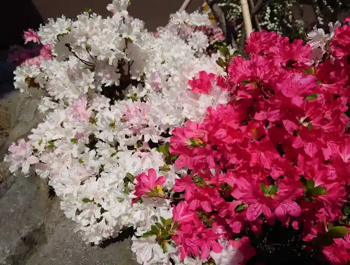 日枝神社(静岡県)