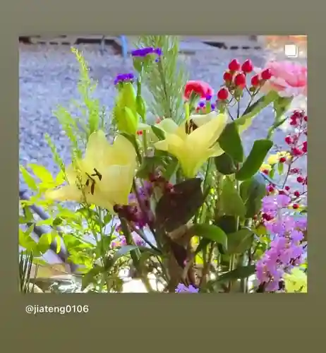 滑川神社 - 仕事と子どもの守り神の手水舎