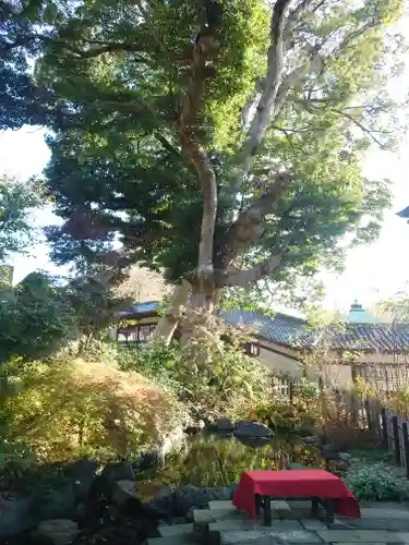 時宗総本山 遊行寺（正式：清浄光寺）(神奈川県)