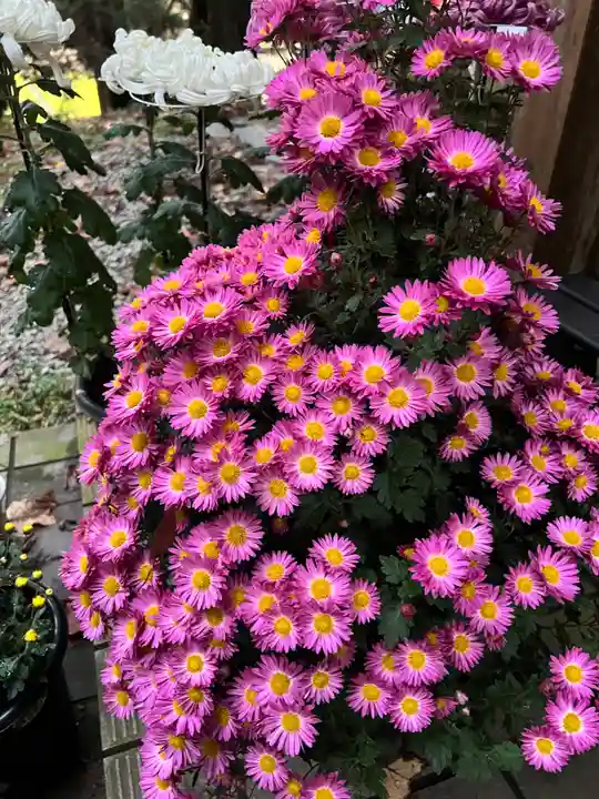 大宮温泉神社の自然