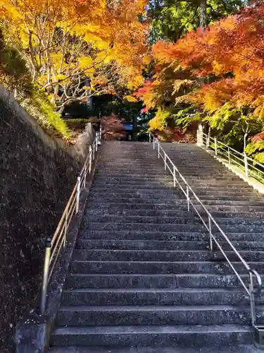 太龍寺(徳島県)