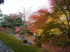 相国寺（相国承天禅寺）(京都府)