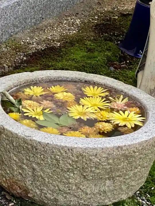 大松禅寺(京都府)