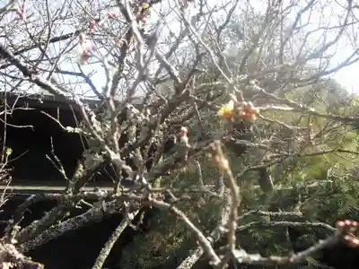 瑞泉寺のその他建物